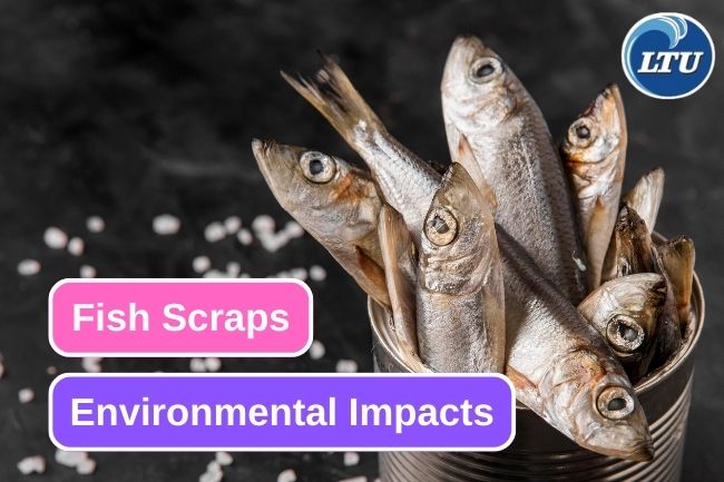 These are 4 Environmental Impact of Fish Scraps